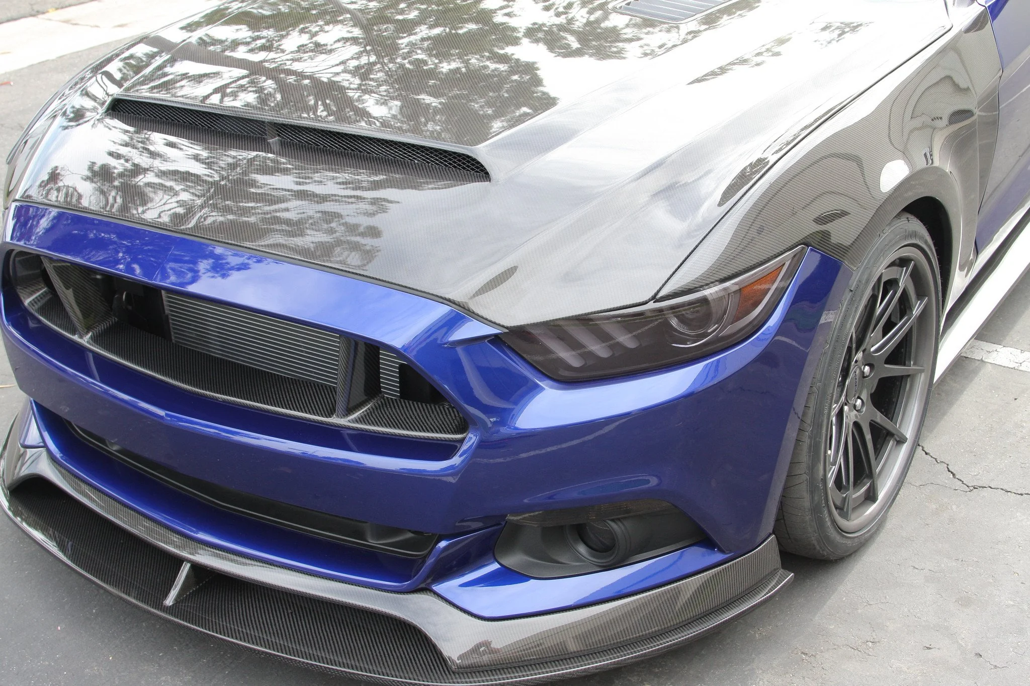 Anderson Composites - Carbon "Super Snake" Style Hood - Image 4
