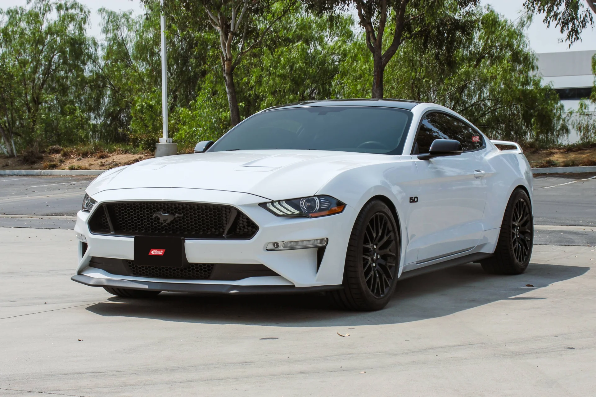 Eibach S550 Mustang GT & Ecoboost Pro-Street S Coilover Kit - Magneride Only - Image 3