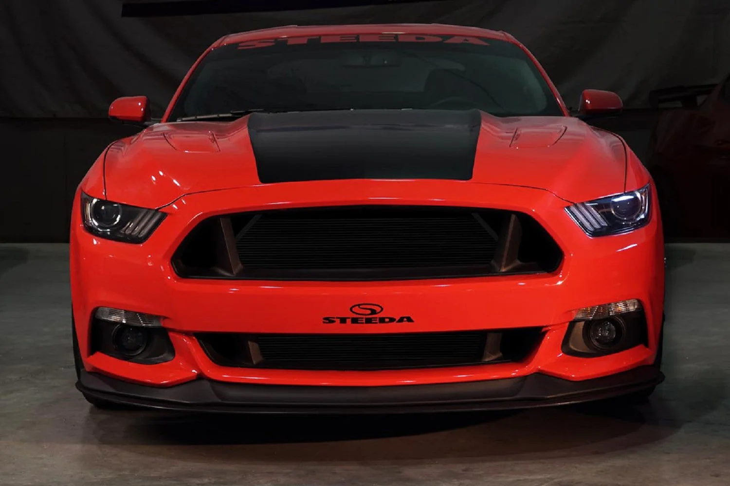 S550 Mustang Grill Deletes - Image 2
