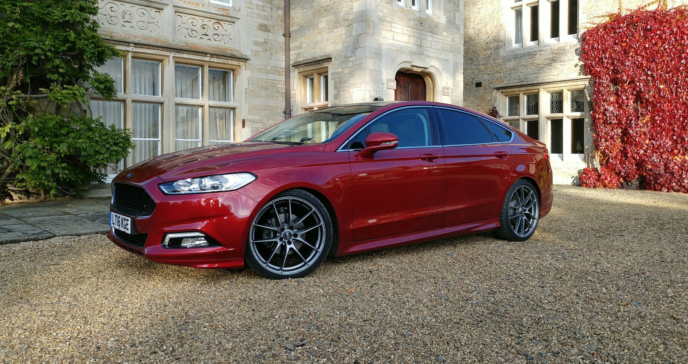Steeda Mondeo Lowering Springs - Image 3