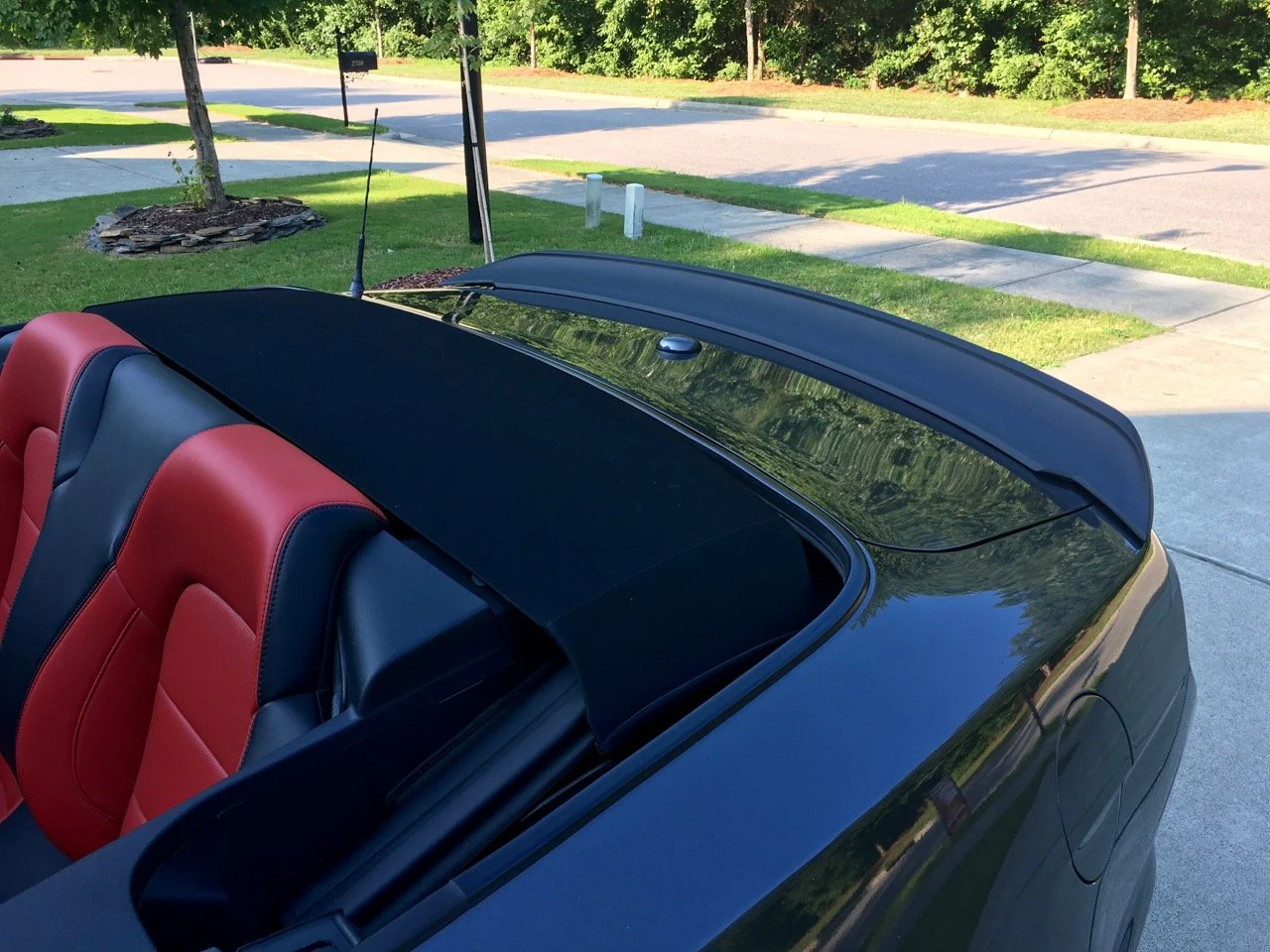 Steeda S550 Mustang Q-Series Rear Spoiler (2015-2023) - Image 4