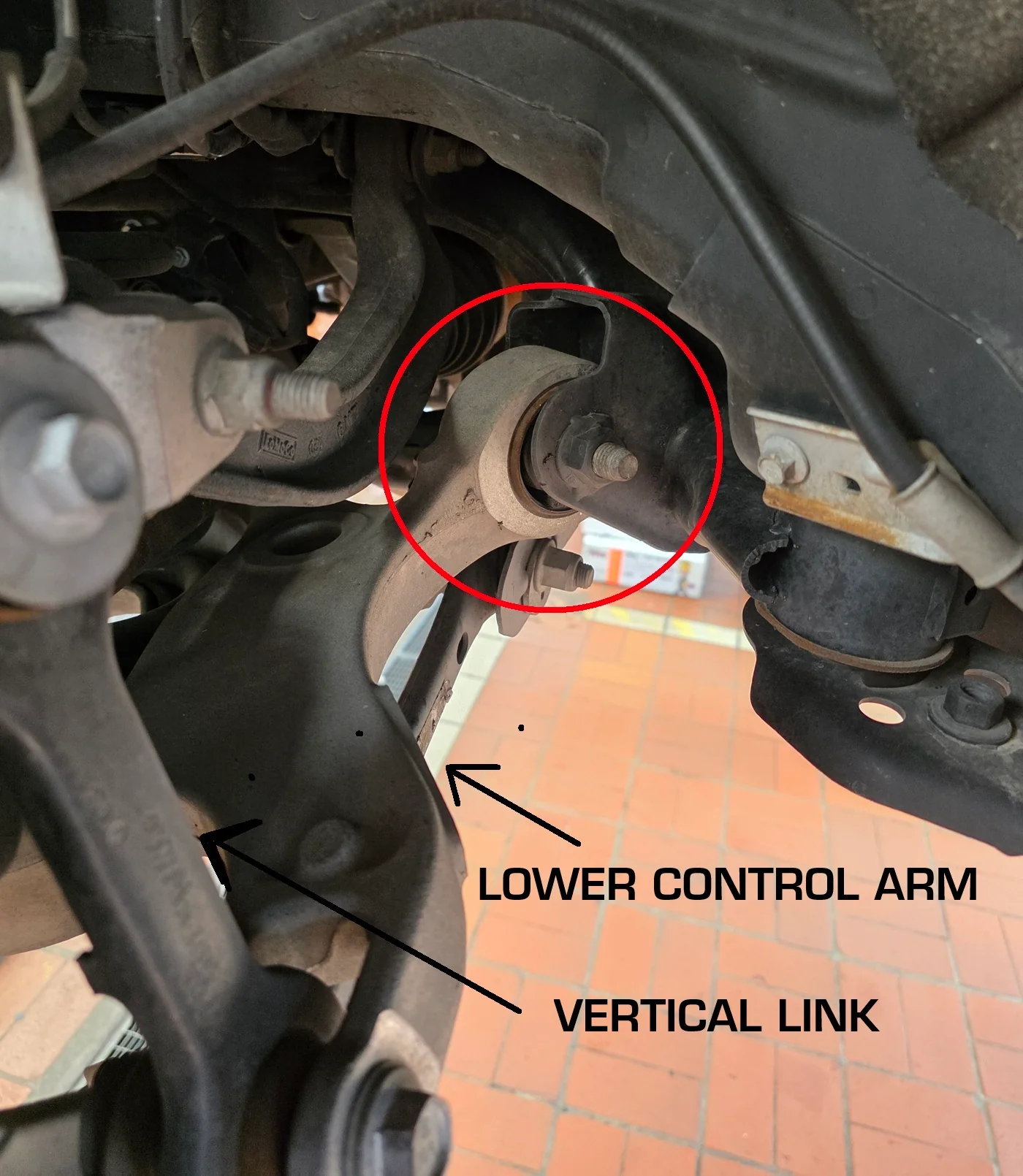 Steeda S550 Mustang Rear Lower Control Arm Bushings (2015-2023) - Image 2