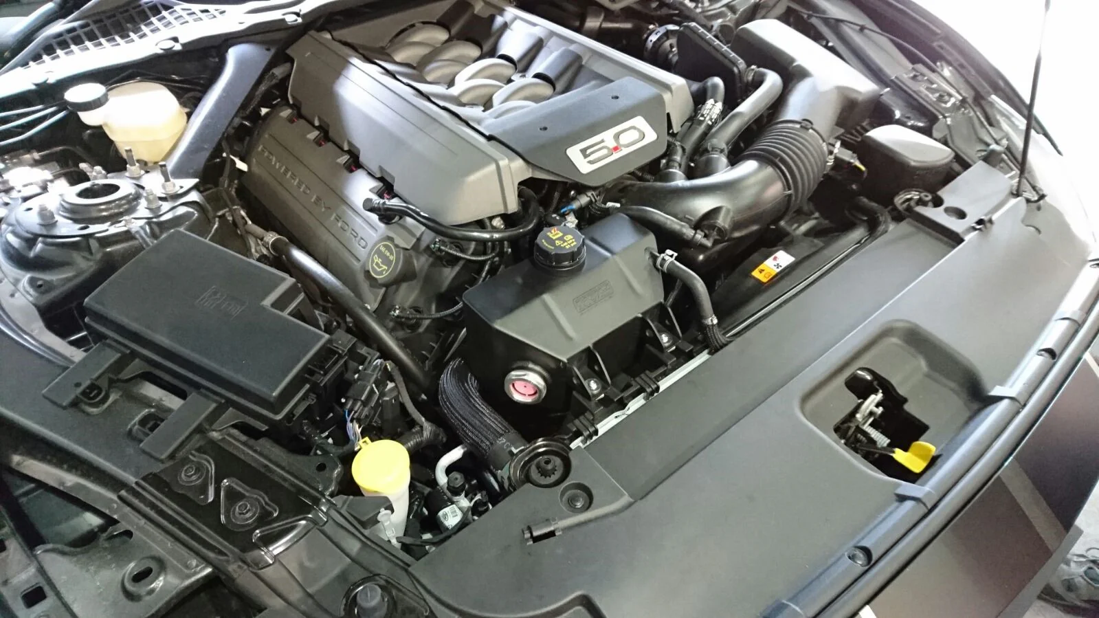 Steeda S550 Q Series Mustang Coolant Header Tank 2015-2023 - Image 4