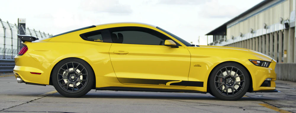Steeda Sidewinder Decals 2015-2023 & 2024+ Mustang - Image 5