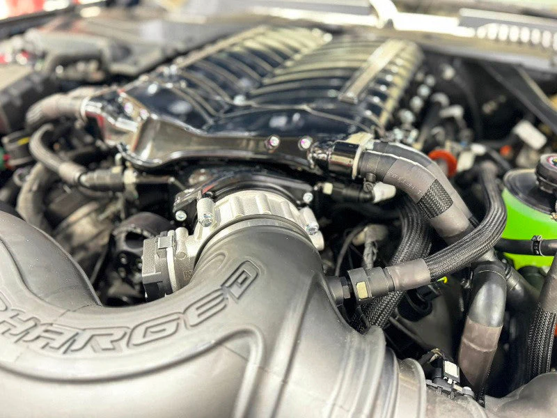 Whipple S650 Mustang GT / Dark Horse Supercharger System (2024+) - Image 3