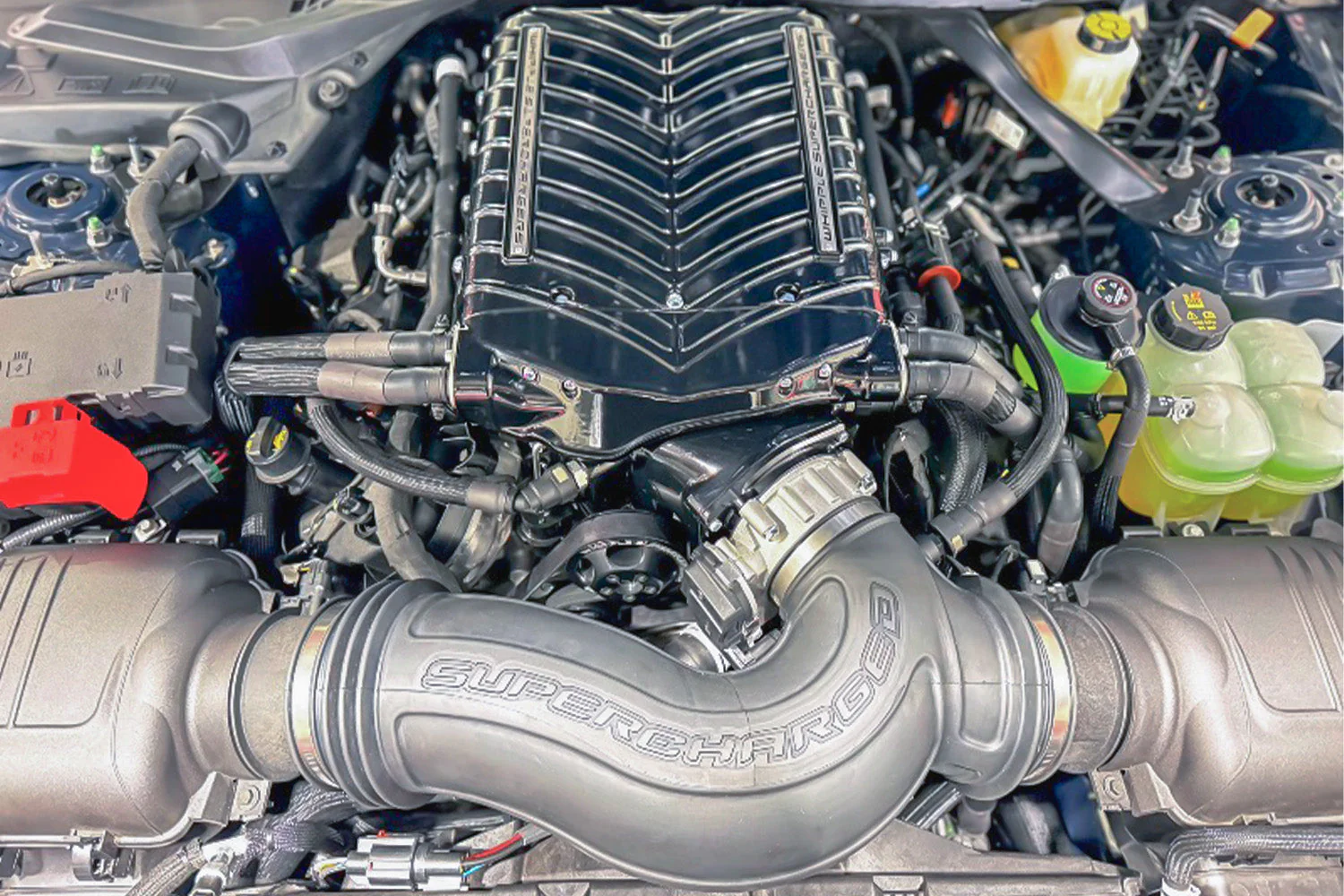 Whipple S650 Mustang GT / Dark Horse Supercharger System (2024+) - Image 5